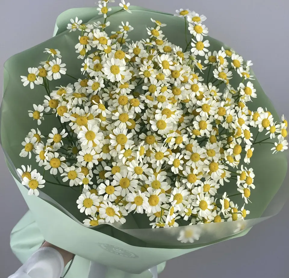 Монобукет из кустовых ромашек